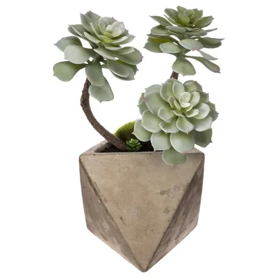 Image de Plante artificielle - Pot en ciment - H 30 cm