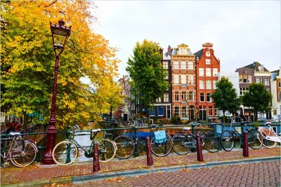Produktbild von Wallario Poster - Herbst in Amsterdam, Kunstdruck Größe: 61 x 91,50 cm
