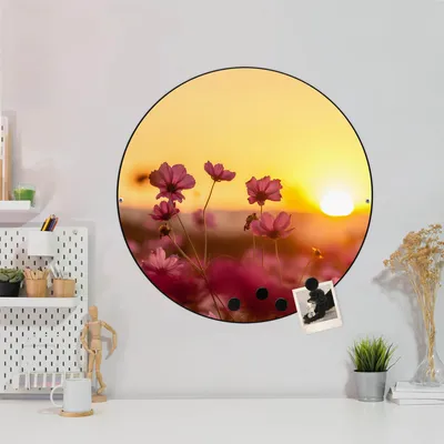 Produktbild von Design Stahlmagnettafel Schwarz Rund 47cm Cosmea Feld