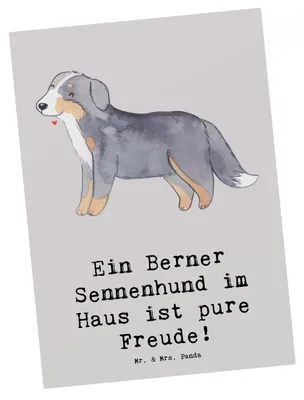 Produktbild von Mr. & Mrs. Panda Postkarte Berner Sennenhund Freude - Grau Pastell - Geschenk, treuer Freund, Bärenhund, Familienhund, Ansichtskarten, Fotokarte, Postkarten, Begleiter