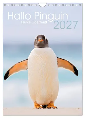 Produktbild von Hallo Pinguin (Wandkalender 2027 DIN A4 hoch), CALVENDO Monatskalender