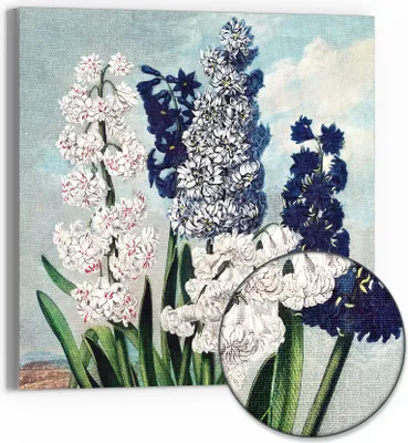 Produktbild von DEQOART Hybrid Leinwand Bild 30x30 cm 'Hyazinthenzauber' Wandbild Glas flach modern