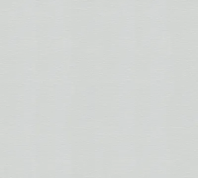 Obrázek produktu pro A.S. Création netkaná tapeta Meistervlies Pro Protect 2, bílá, malovatelná, 25,00 m x 1,06 m, 251312, 2513-12