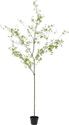 Produktbild von Silk-ka künstliche Zimmerpflanze Bucida Grün 220 cm