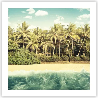 Produktbild von Poster - Poster ohne Rahmen - Natur Strand Palmen - 50x50 cm - Wand Bild - Wanddeko - Wandbilder - Kunstposter - Wandposter - Bilder - Kunstdruck - Wanddekoration - Wandbild - P2XAC50x50-4915