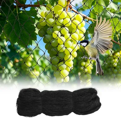 Image de Filet de protection pour oiseaux, dimensions 4 m x 10 m, idéal pour le jardin et les plantes