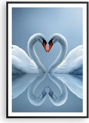 Produktbild von Gerahmtes Poster - Schwarzer Rahmen - Ladung Dampf Wasser - 70x100 cm - Wand Bild - Wanddeko - Wandbilder - Kunstposter - Wandposter - Bilderrahmen - Bilder - Kunstdruck - Wandbild - P2BPA70x100-3541