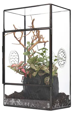 Glasterrarium mit Seitentür, 13x10x23 cm, für große Springspinnen