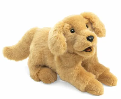 Produktbild von Folkmanis Golden Retriever Puppy, Handpuppe, Tier, 3 Jahr(e), 1 Stück(e)