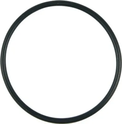 Produktbild von easyPART passend für 140328461 Saeco Dichtung Dichtring O-Ring 20mmØ Schwarz für Wassertanksieb z.T. XSMALL INCANTO INTUITA SYNTIA Kaffeeautomat Kaffeemaschine auch Gaggia Philips