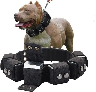 Immagine prodotto di Collare da addestramento con pesi regolabili – Adatto a cani di taglia piccola, media e grande