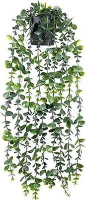 Produktbild von Set mit 1 künstlichen Pflanzen zum Aufhängen, künstliche Hängepflanzen, künstliche künstliche Efeu-Pflanzen im Topf für den Hausgarten, Wanddekoration,Eukalyptus hängend doppelt grün sprühweiß