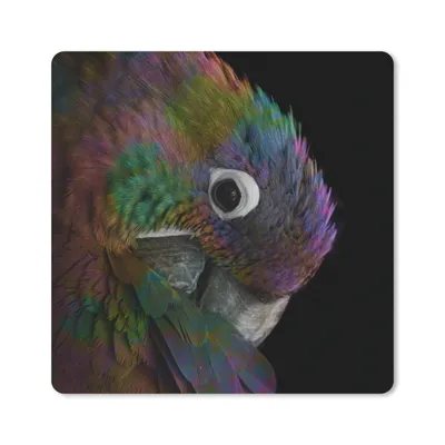 Produktbild von MuchoWow® Mauspad Mousepad Papagei - Regenbogen - Schwarz 20x20 cm - Mousepads - Maus Mat - Pad - Mausunterlage - Desk Mat - Bureauartikeln