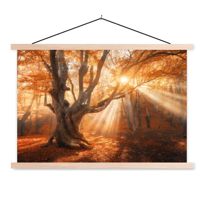 Produktbild von MuchoWow® Textilposter Baum - Natur - Herbst 120x80 cm mit holzfarbenen Rahmen - Aufhängeset