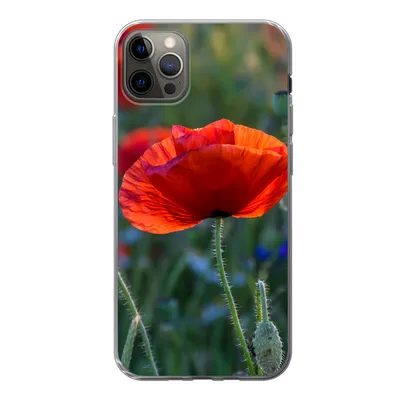 Produktbild von MuchoWow® Handyhülle Schutzhülle Hülle für iPhone 12 Pro Max Bunte Mohnblumen in den Niederlanden Silikon Softcase Handy Hülle - Hartschale