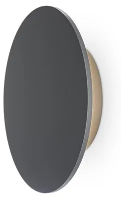 Immagine prodotto di Lampada Da Parete Moderna Da Esterno Metallo Grafite Luce Led 12W Ip65