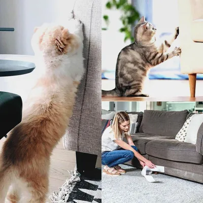 Produktbild von Kratzschutz für Katzen und Hunde – Selbstklebende Schutzfolie - Kratzschutzfolie für Katzen - Kratzschutz für Sofa - Kratzfest für Tür, Tisch, Sofa und Möbel - Transparent (10 m x 10 cm)