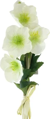 Produktbild von Christrosenarrangement 4 Blüten mit Schleife - Kunstblumen