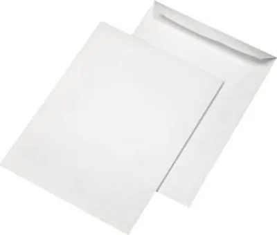 Produktbild von MAILmedia Versandtasche 30005506 B4 oF sk 120g ws 250 St./Pack.