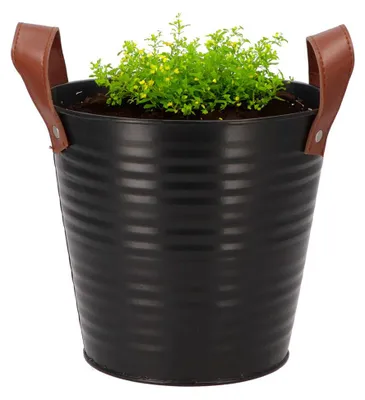 Produktbild von Blumentopf/Blumenkubel Eimer Leder - rund - Zink - schwarz - D18 x H17 cm