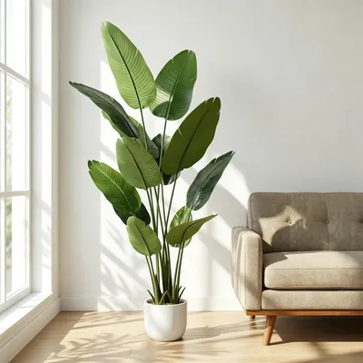 Image de Plante artificielle avec feuille de bananier, hauteur 160 cm