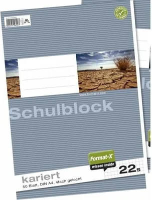 Produktbild von Staufen® Schulblock Style Lin22 DIN A4 kariert