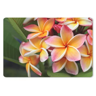 Produktbild von MuchoWow® Schreibtischunterlage Blumen - Plumeria - Orange 60x40 cm - XXL Mauspad - Großes Mauspad