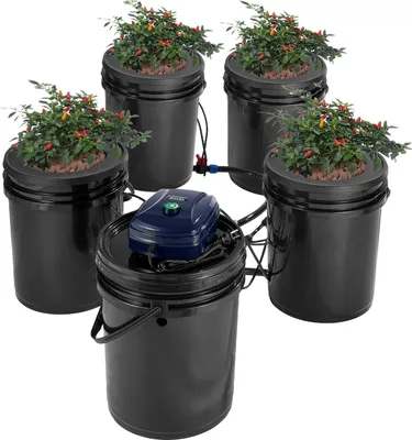 A hydroponic cultivation system with multiple buckets and plants, connected to an air pump.