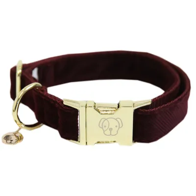 Produktbild von Kentucky Dogwear Corduroy Hundehalsband