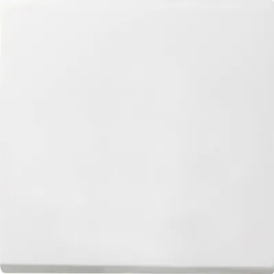 Produktbild von Gira Wippschalter rws 0916112