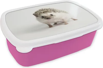 Produktbild von KitchenYeah® Lunchbox Brotzeit Brotdose 17x11 cm Igel - Tier - Weiß Kinder Brotzeitdose - Lunchpaket - Brotkasten  - Sandwich Box