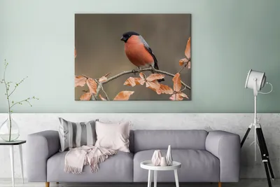 Obrázek produktu pro OneMillionCanvasses® - Plátno nástěnné umění - Pták - Listí - Podzim - Bullfinch -, nástěnná malba, nástěnné dekorace obrazy obývací pokoj, 120x90cm