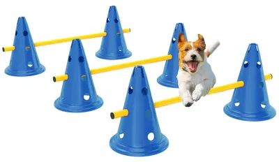 Productafbeelding van PawHut Agility Set: 3-delige agility-uitrusting voor hondentraining