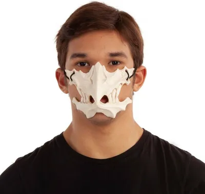 Immagine prodotto di Maschera L'altro me