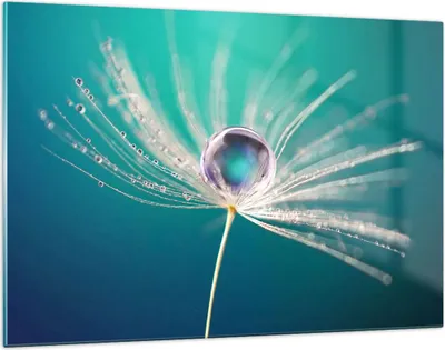 Produktbild von Bilder auf glas - Pflanze Natur - 120x80cm - Glasbilder - Wandbilder - Kunstdruck - zum Aufhängen bereit - Wanddekoration aus Glas - Glas Bilder - Wandbild auf Glas - Einteilig - GAA120x80-3991