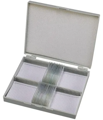 Produktbild von Bresser Dauerpräparate Set mit 25 gefärbten Objektträgern und Box