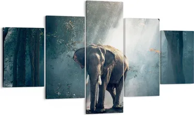 Produktbild von Bild auf Leinwand - Leinwandbild - elefant natur - 125x70cm - Wand Bild - Wanddeko - Wandbilder - Leinwanddruck - Bilder - Kunstdruck - Wanddekoration - Leinwand bilder - Wandkunst - EA125x70-3972
