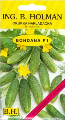 Image de Concombre BOHDANA F1 - hybride