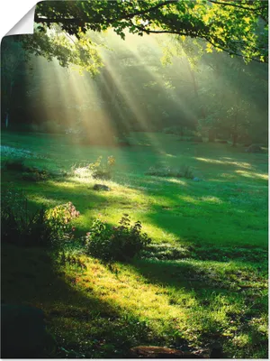 Produktbild von ARTland Poster Lichtkegel Größe: 60x80 cm