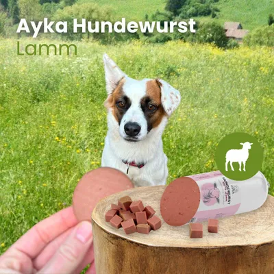 Produktbild von Ayka Hundewurst Lamm 1 Stück 200g