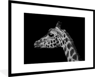 Produktbild von MuchoWow® Gerahmtes Poster Tiere - Giraffe - Schwarz - Weiß 90x60 cm - Poster mit Schwarzem Bilderrahmen Wandposter Rahmen Foto Bilder - Wanddekoration - Fotos