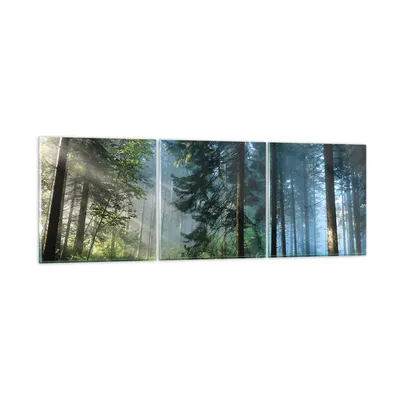 Produktbild von Bilder auf glas - 3 Teile - Wald Dämmerung die Sonne - 150x50cm - Glasbilder - Wandbilder - Bilder - zum Aufhängen bereit - Wanddekoration aus Glas - Glas Bilder - Wandbild auf Glas - GCA150x50-4398