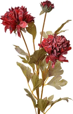 Produktbild von Clayre & Eef Kunstblume 68 cm Rot Kunststoff