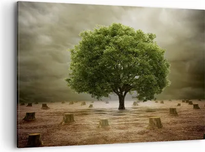 Produktbild von Bild auf Leinwand - Leinwandbild - Baum Feld Umwelt - 100x70cm - Wand Bild - Wanddeko - Wandbilder - Leinwanddruck - Bilder - Kunstdruck - Wanddekoration - Leinwand bilder - Wandkunst - AA100x70-2727