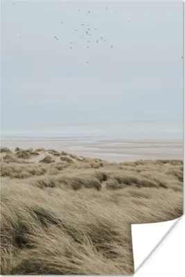 Produktbild von MuchoWow® Poster Strand - Düne - Vogel 20x30 cm - Papierdruck