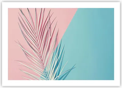 Produktbild von Poster - Poster ohne Rahmen - Blatt Rosa Türkis - 70x50 cm - Wand Bild - Wanddeko - Wandbilder - Kunstposter - Wandposter - Bilder - Kunstdruck - Wanddekoration - Wandbild - P2XAA70x50-4421