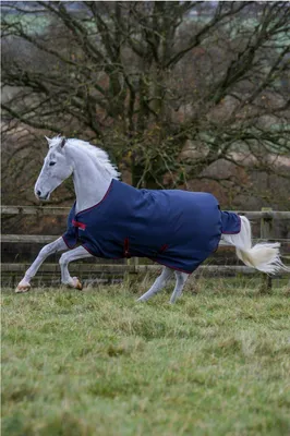 Produktbild von Bucas Freedom Turnout 150 Outdoor Decke graphite, Größe (cm):165/7.0