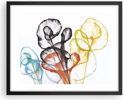 Produktbild von Gerahmtes Poster - Schwarzer Rahmen - Blumen Abstraktion Surrealismus - 50x40 cm - Wand Bild - Wanddeko - Wandbilder - Kunstposter - Wandposter - Bilderrahmen - Bilder - Kunstdruck - P2BAA50x40-4444