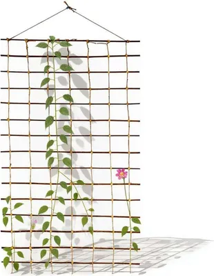 Obrázek produktu pro be4nature Mřížka 150 x 100 cm – Proutěná síť pro popínavé rostliny, růže, zeleninu, dekorace plotu, přírodní materiál