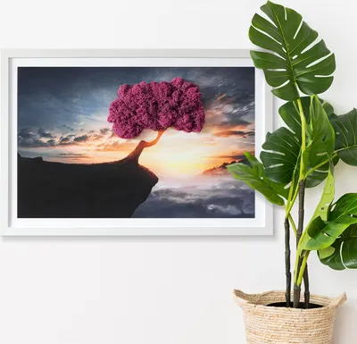 Produktbild von Moosbild mit Echtem Isländisch Moos - 60x40 cm - Weißer MDF-Rahmen - Baum auf einem Abgrund
